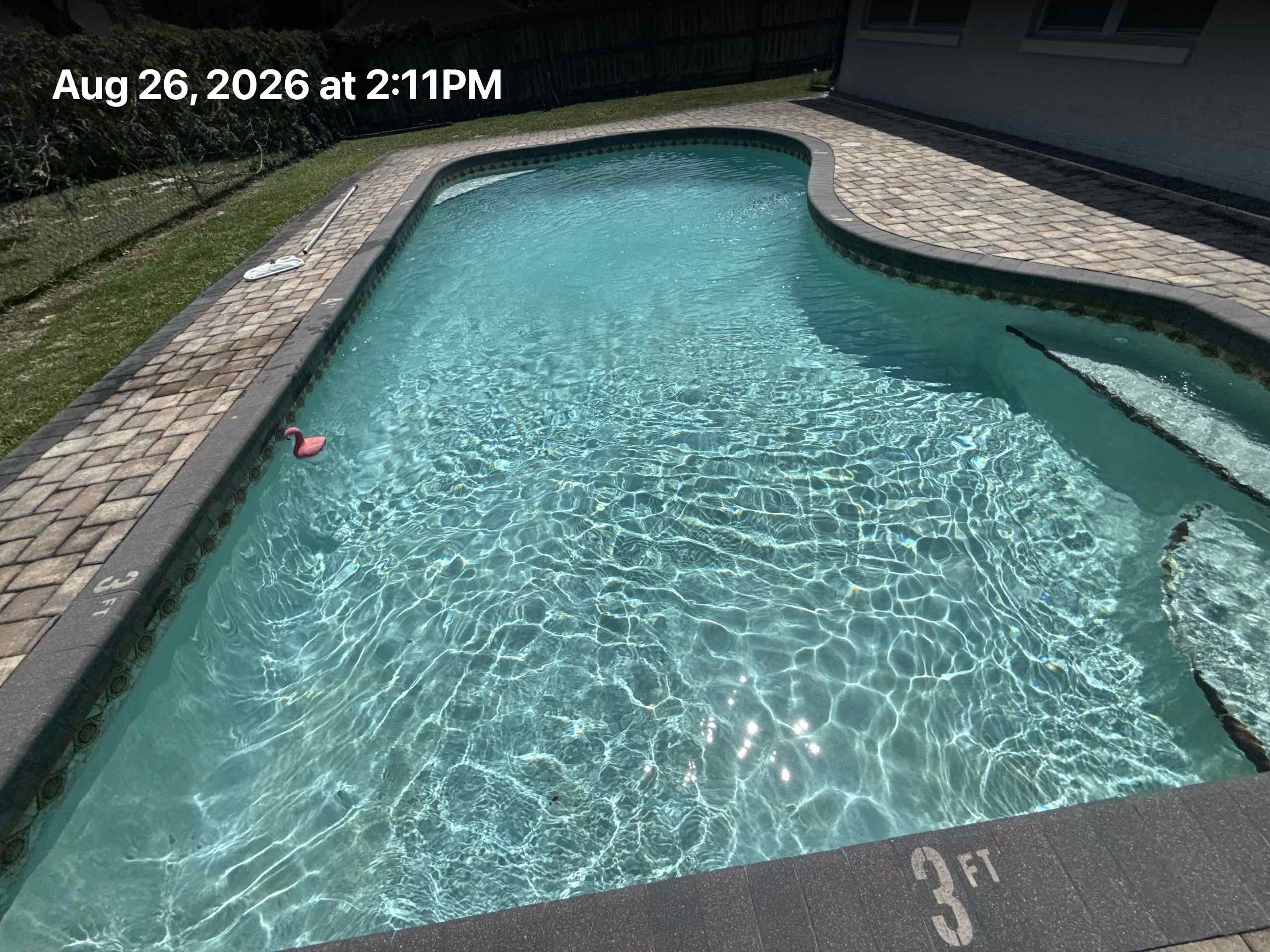 Clean, swim-ready pool at a Winter Park, Florida property